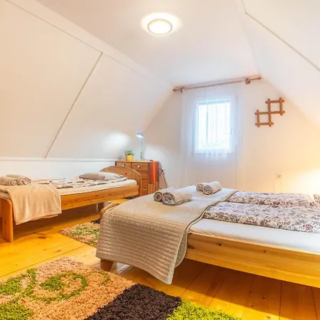 Ket Fenyofa Vendeghaz Vizparti Nyaralo Békésszentandrás