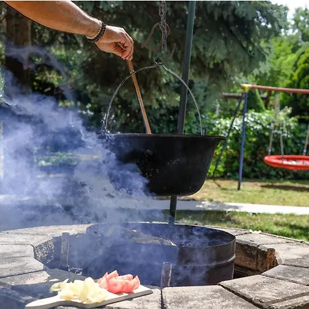 Ket Fenyofa Vendeghaz Vizparti Nyaralo Békésszentandrás